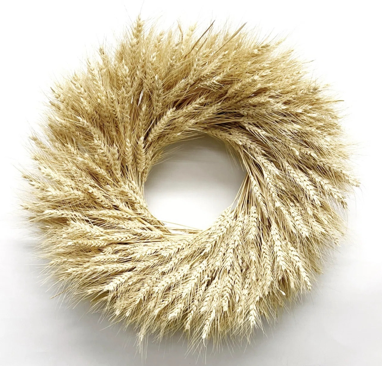 The Holiday Aisle® Preserved Natural Blonde Wheat 22" Fall Wreath & Reviews | Wayfair | Wayfair North America