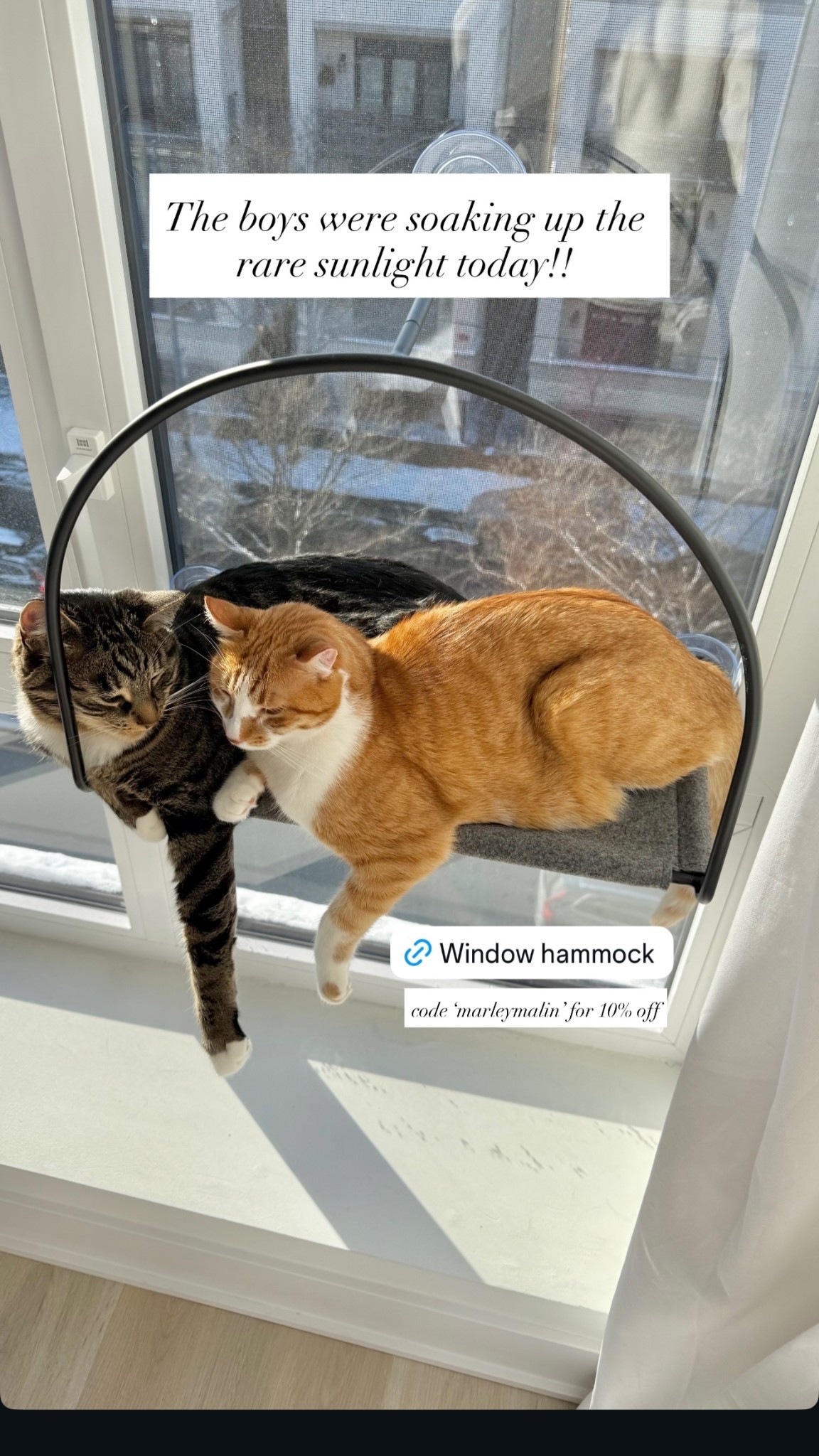 Finally an aesthetic window seat 🤍 10% off code: MARLEYMALIN #catproducts #petproducts #catmom