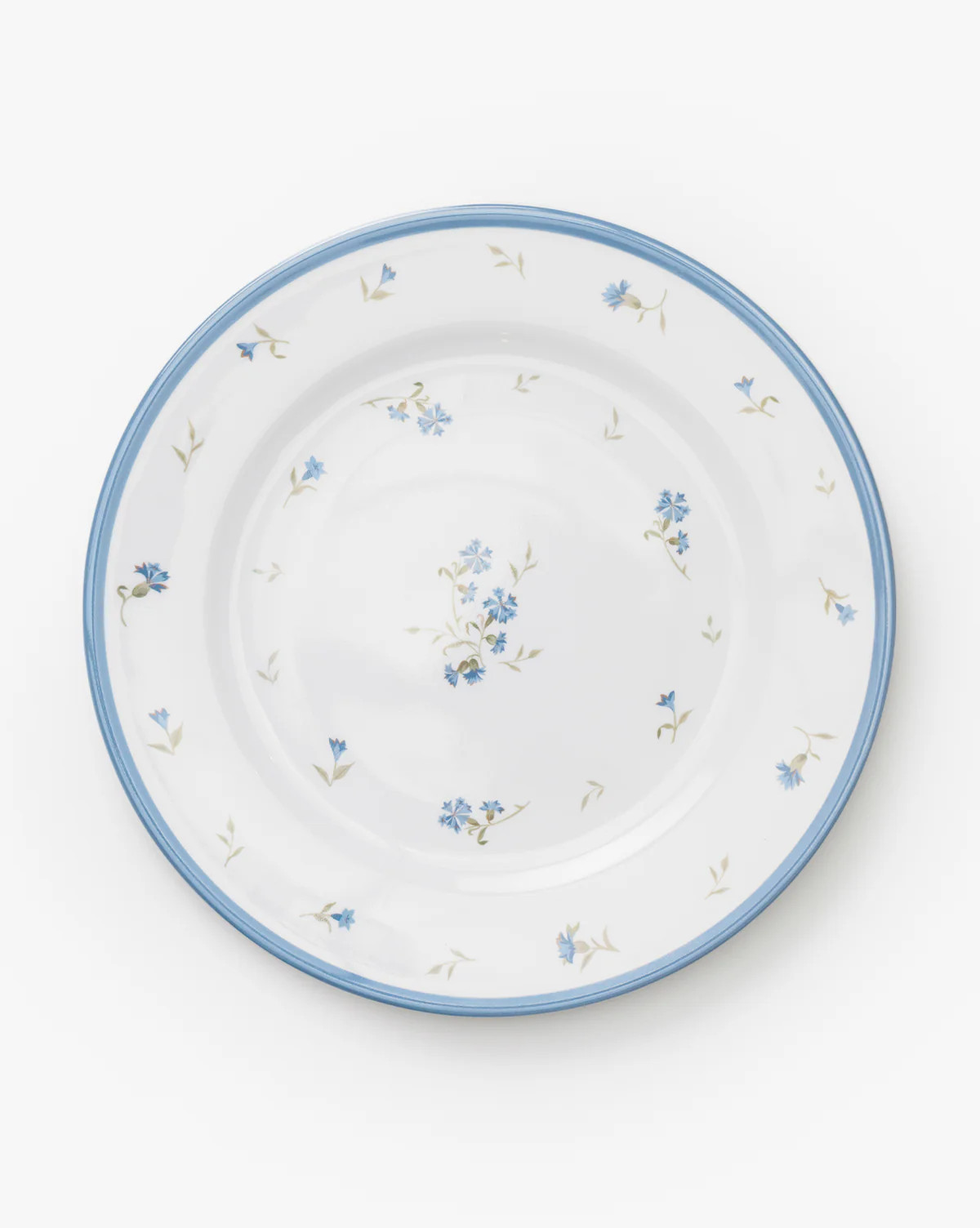 Hollingbury Melamine Outdoor Dinner Plates (Set of 4) | McGee & Co. (US)