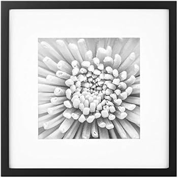 Gallery Perfect Gallery Wall Kit Square Photos with Hanging Template Picture Frame Set, 12" x 12"... | Amazon (US)