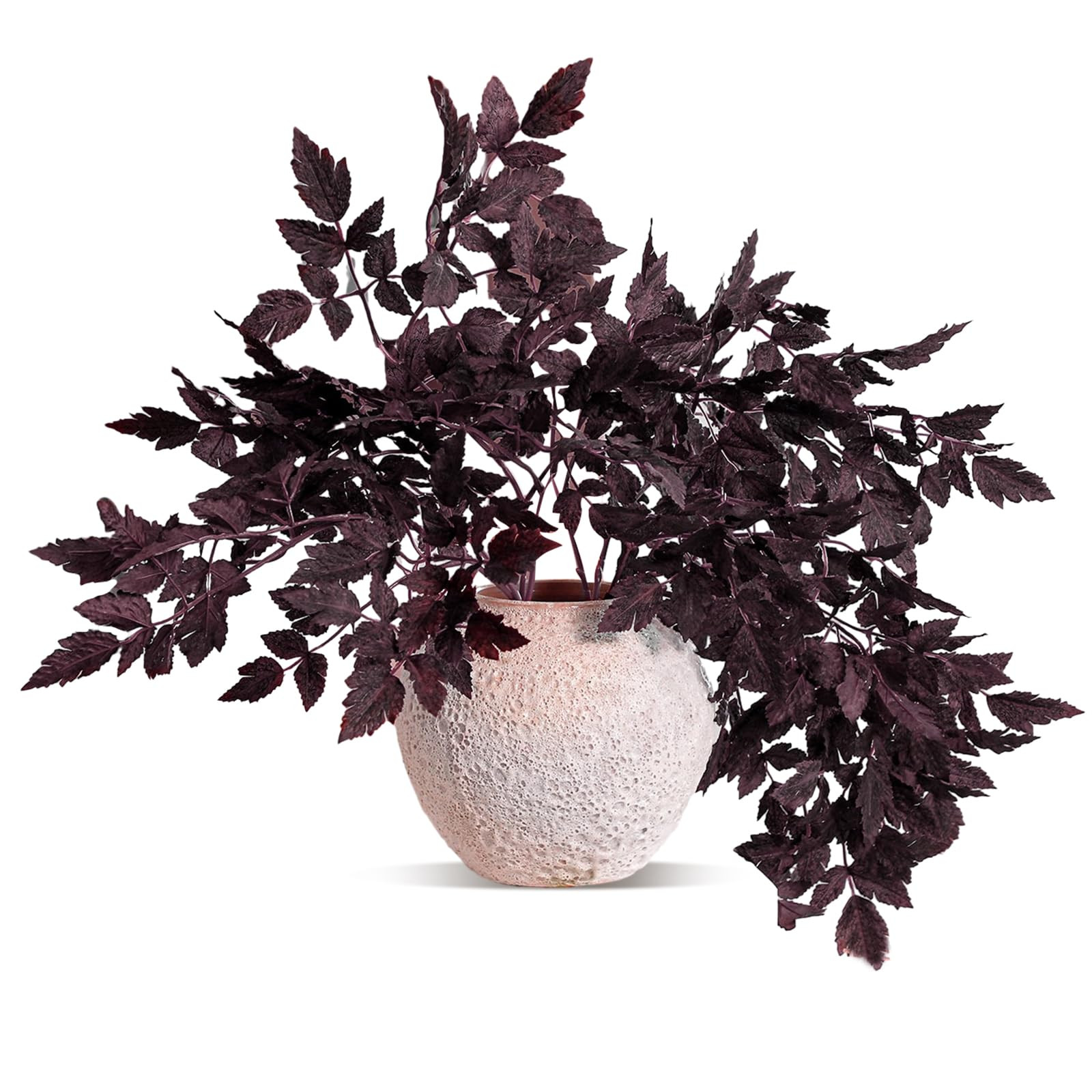 Lyrow 2 Pack Artificial Cimicifuga Plant Leaf Spray Faux Plum Cimicifuga Ramosa Leaf Branch Fall ... | Amazon (US)