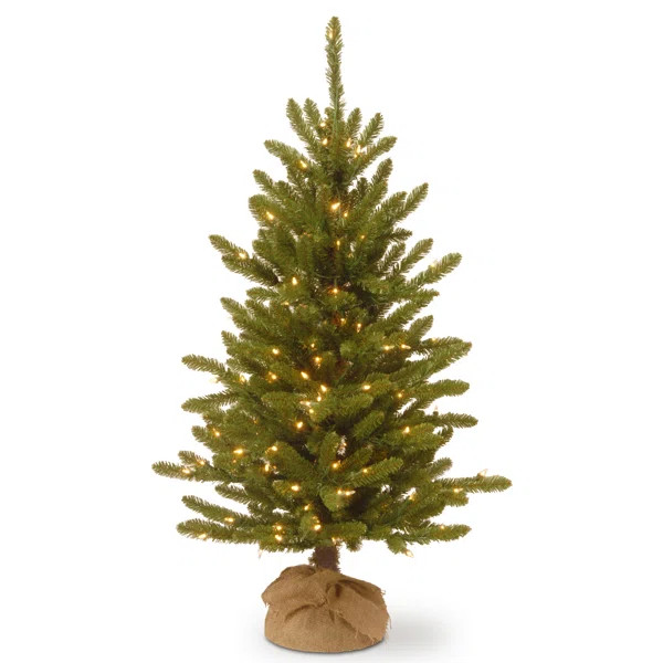 4' Green Fir Christmas Tree with 150 Clear/White Lights | Wayfair Professional