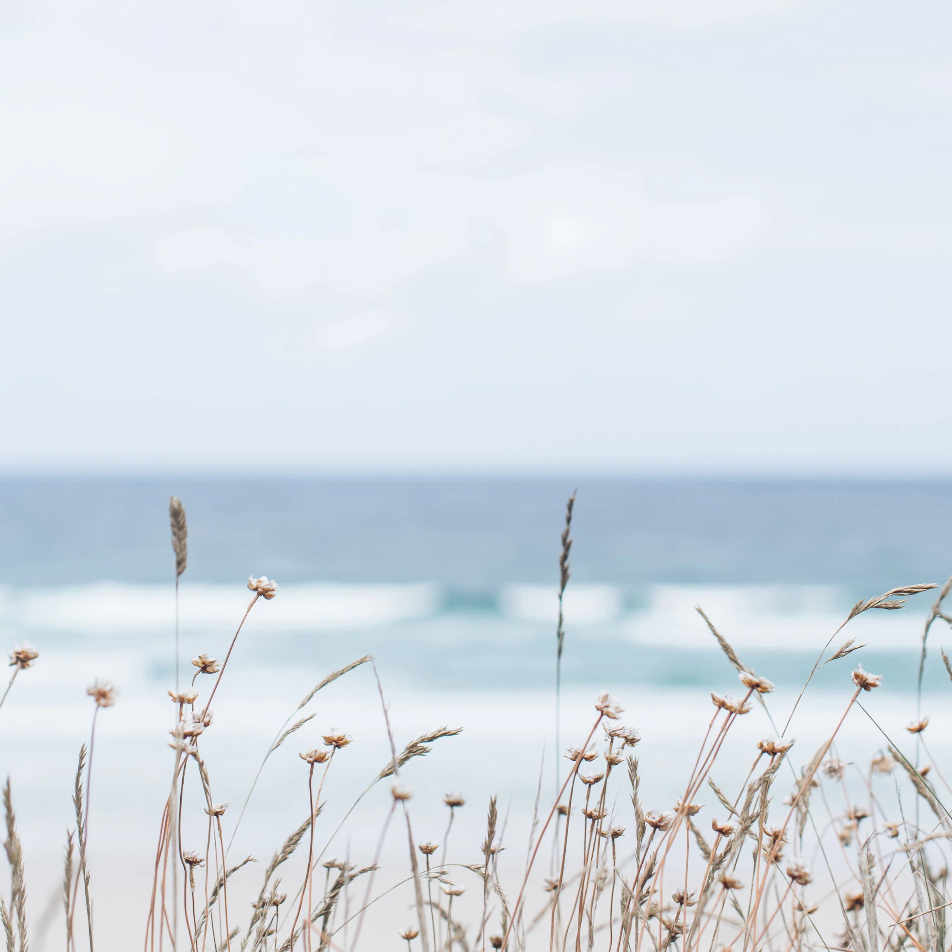 Ocena Breeze  | Fracture