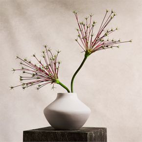 Faux Firework Allium Stem | West Elm (US)