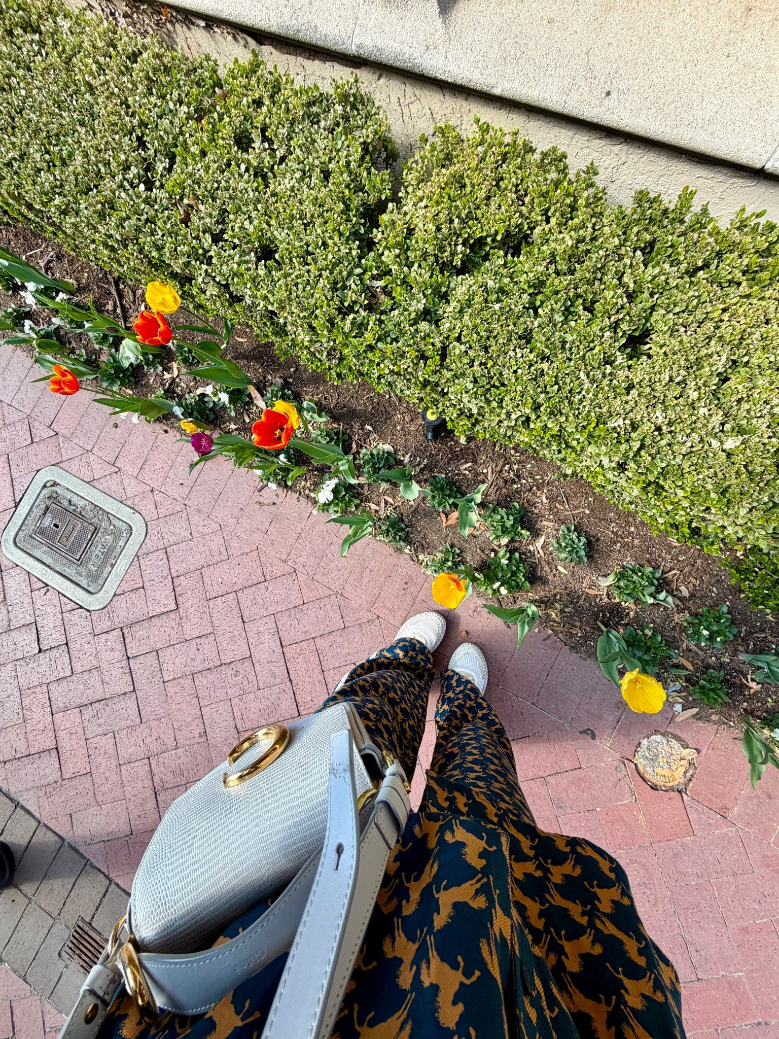 Bopping around Highland Park Village this morning 🤠 Exact print of this set is sold out, but linking the current seasons print 🐎

#LTKootd #LTKdayinmylife #LTKSeasonal