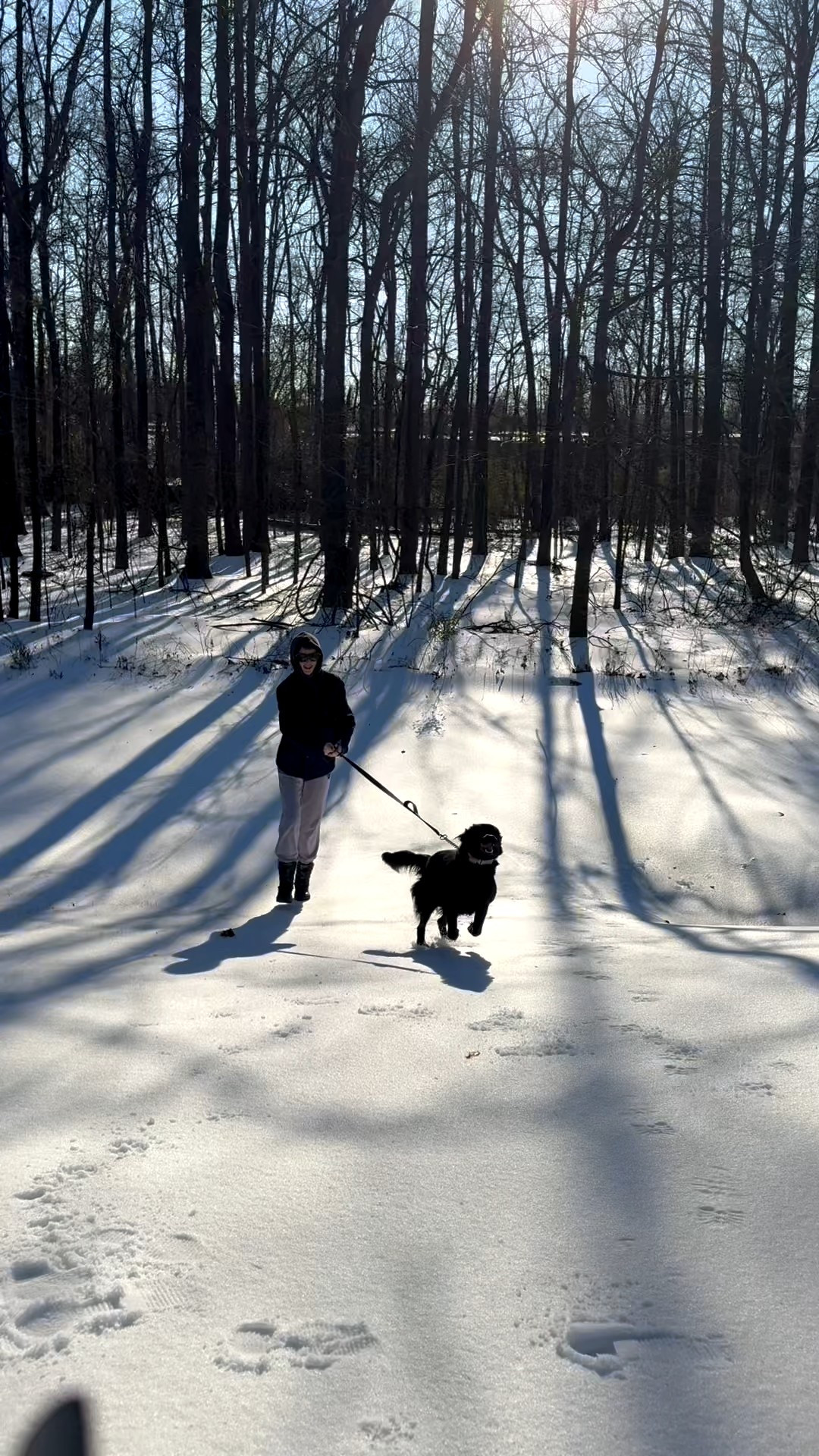 A little joy for your timeline :) 

#LTKActive #LTKdayinmylife