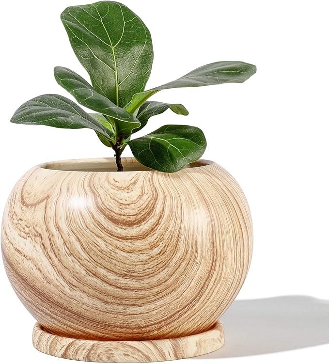 POTEY Planter Ceramic Plant Flower Pot - 5" Large Indoor Glazed Container Bonsai with Drainage Ho... | Amazon (US)