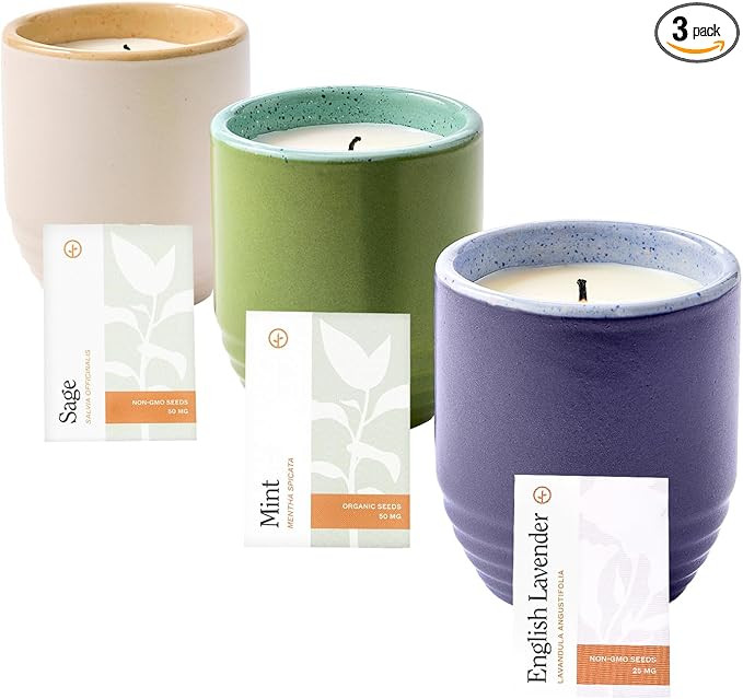 Modern Sprout Garden Vibes 2-in-1 Soy Candle & Planter - 3-Pack Indoor Set (Violet Hour, in The W... | Amazon (US)