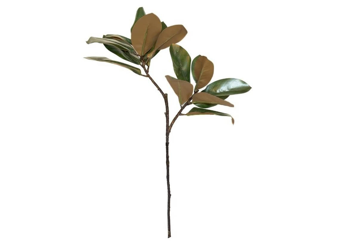 Magnolia Stems – Pack of 3 – by Alice Lane Home Collection – Large Handmade Bouquet for Ind... | Amazon (US)