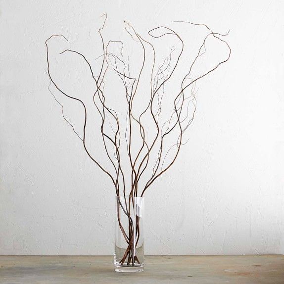 Curly Willow Branches | Williams-Sonoma