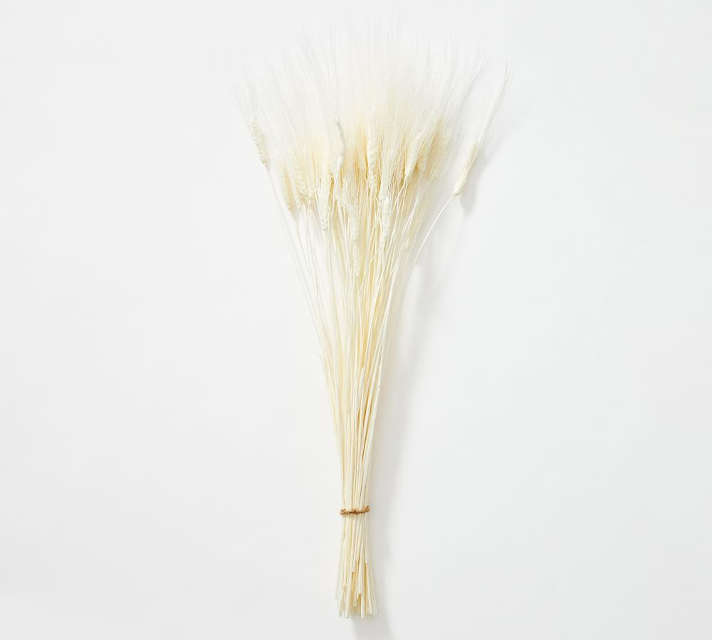 Bleached Wheat Bundle | Pottery Barn (US)