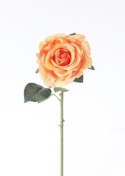 Real Touch Rose Stem in Peach - 14" Tall | Afloral (US)