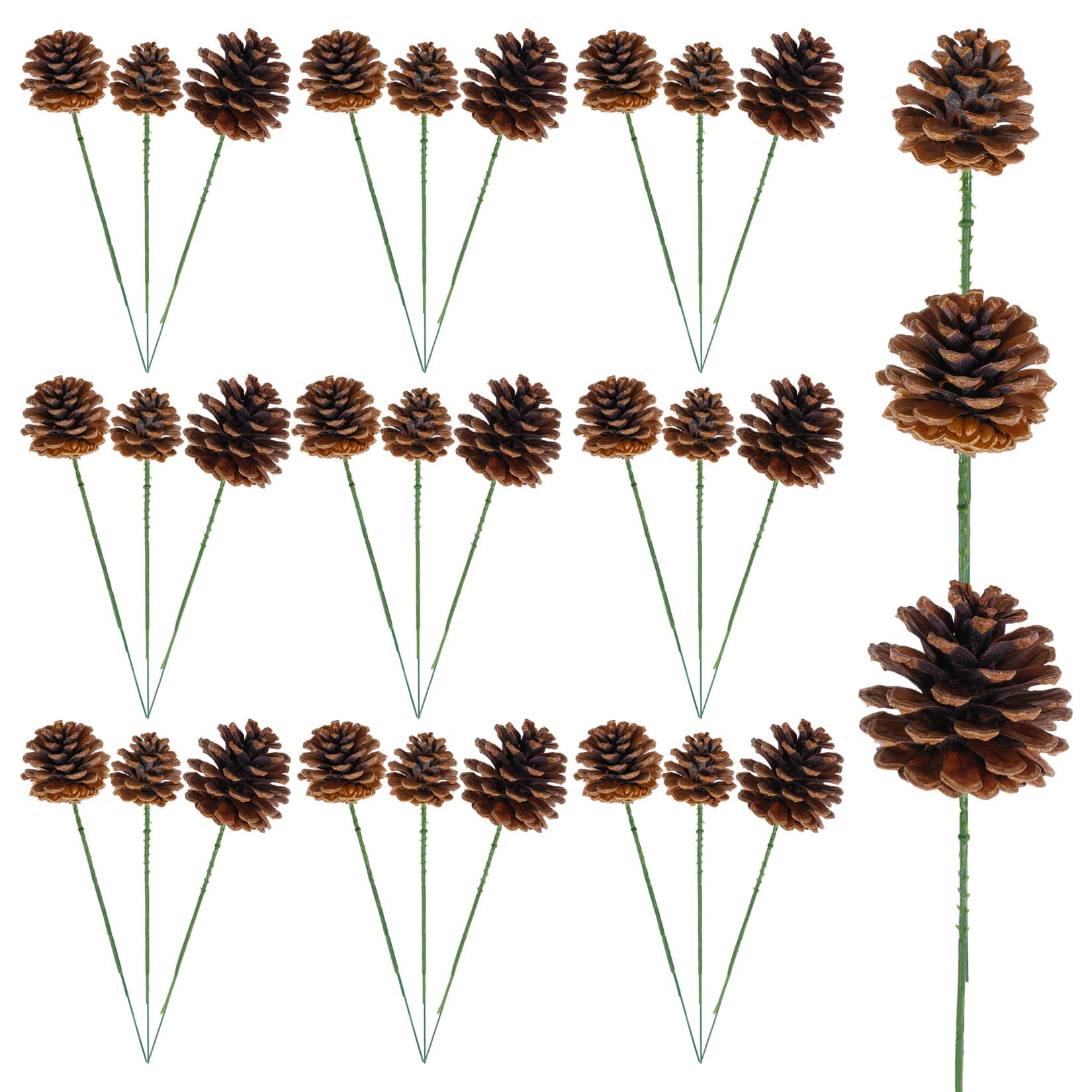 30 Pieces Christmas Natural Pine Cones Rustic Natural Pine Cone for Craft 3 Sizes Pinecones with ... | Amazon (US)