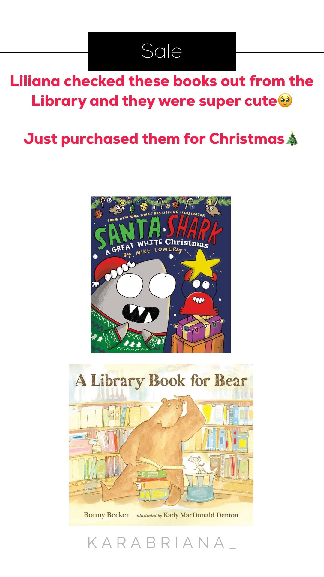Just seen that these books were on sale on Amazon! We love finding good books on sale! Liliana recently checked these ones out at the library and they were such a good read. Even Kenzie enjoyed them at her age (she’s 18 months) 

#LTKGiftGuide #LTKKids #LTKSaleAlert