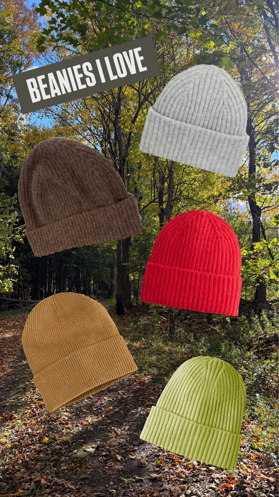 A few beanies I own and love🙌🏽🫶🏽

my grey and red ones are older from target, but I linked similar options. Otherwise, the brown, tan and green are linked!