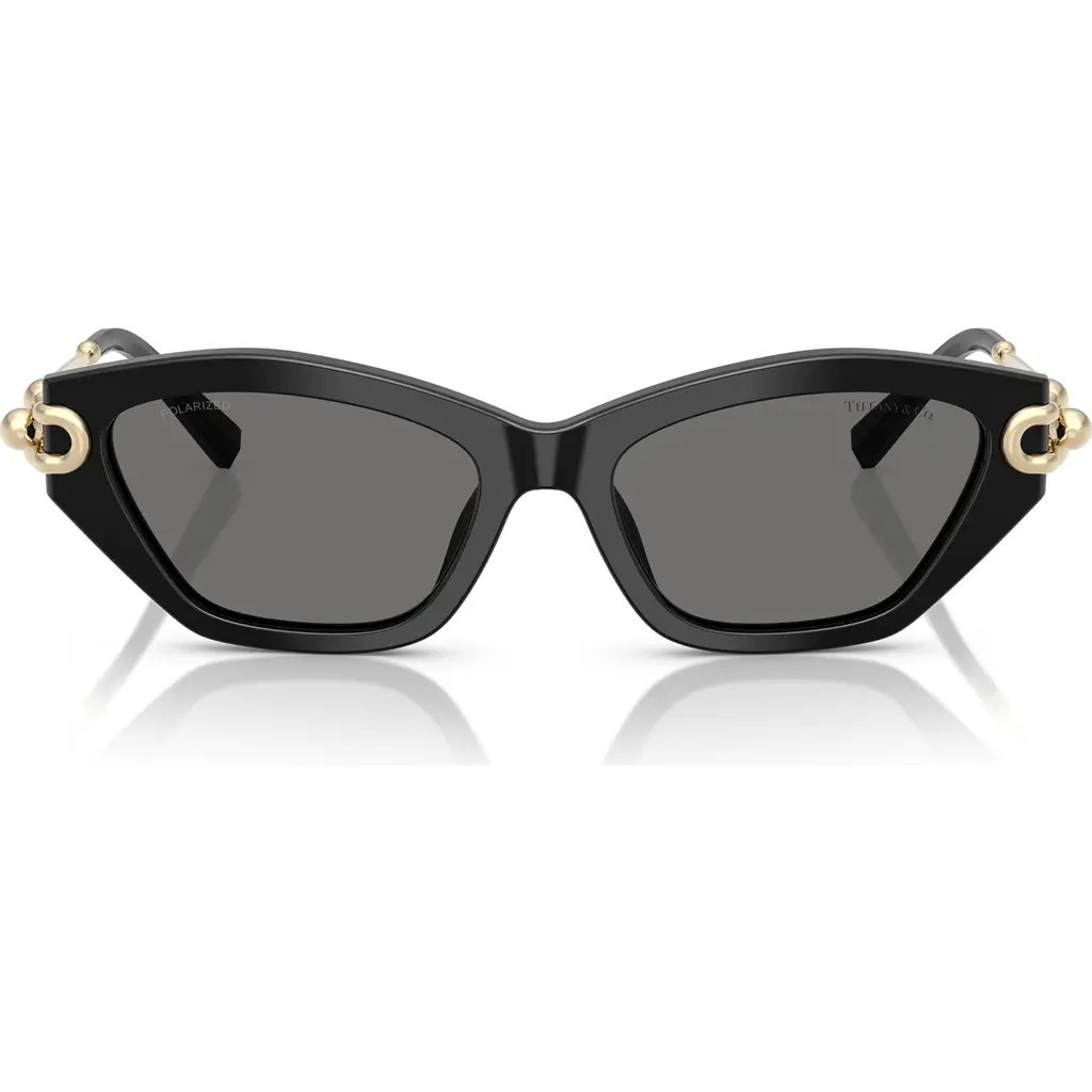 Tiffany & Co. 53mm Polarized Cat Eye Sunglasses in Black /Dark Grey Polar at Nordstrom | Nordstrom