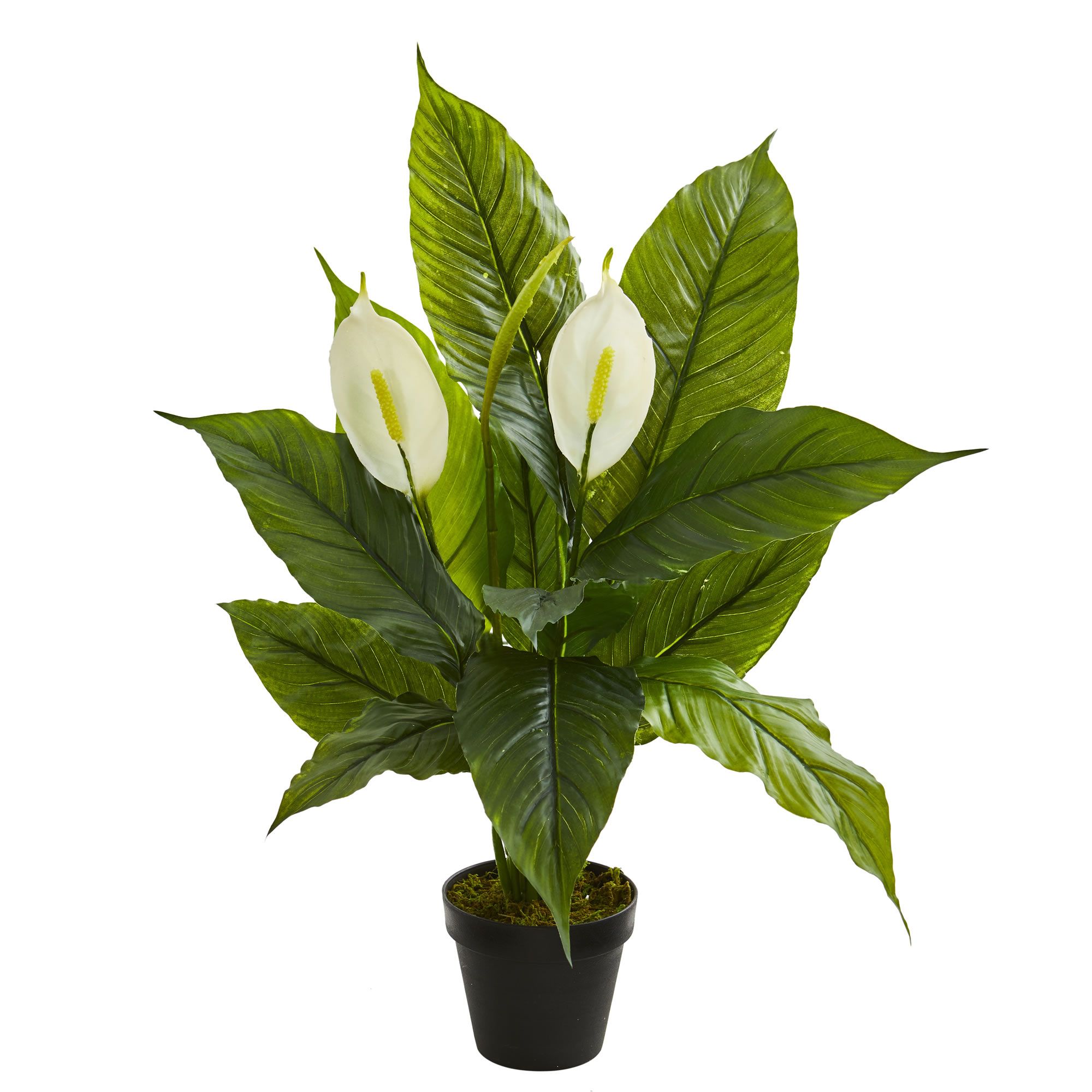 Nearly Natural 26" Spathiphyllum Artificial Plant (Real Touch), Green | Walmart (US)