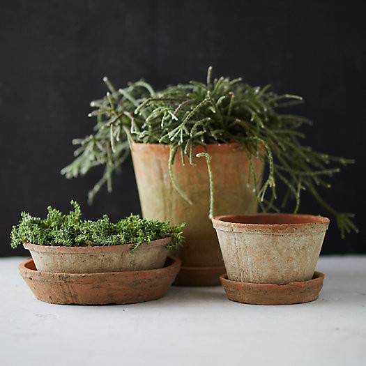 Earth Fired Clay Dish + Saucer, Set of 3 | Terrain