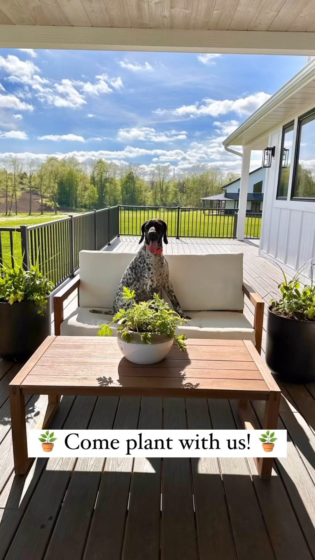 Spring is here and that means it’s time to start planting flowers! There’s a huge greenhouse in Grand Rapids that we went to this weekend (took us 3 hours to get through the whole thing!). We both are definitely not green thumbs so wish us luck lol! What did you do this weekend? Let me know below ⬇️ 

🤍 Don’t forget to follow me on instagram and LTK @ranch_437 for more home and lifestyle content! 🤍


Exterior home design  
Home inspo 
Planting inspo 
Wayfair finds
Gardening hack 


#mycuratedsquares #myhometour #myhomebuild #modernranchhome #modernwesternhome #myhomedesign #myhomeview #welcometomyhouse #intentionaldesign #neutraldesign #bolddesign #organicmodern #realestate #homeinspo4you #cornersofmyhome 
#homeswithpurpose 


#LTKxWayDay #LTKHome #LTKVideo