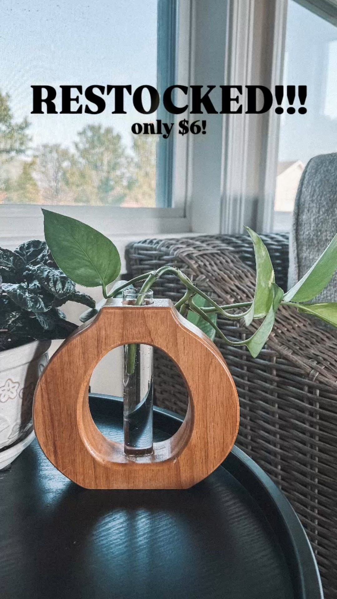 RESTOCKED!!! only $6!

#LTKHome #LTKStyleTip #LTKFindsUnder50