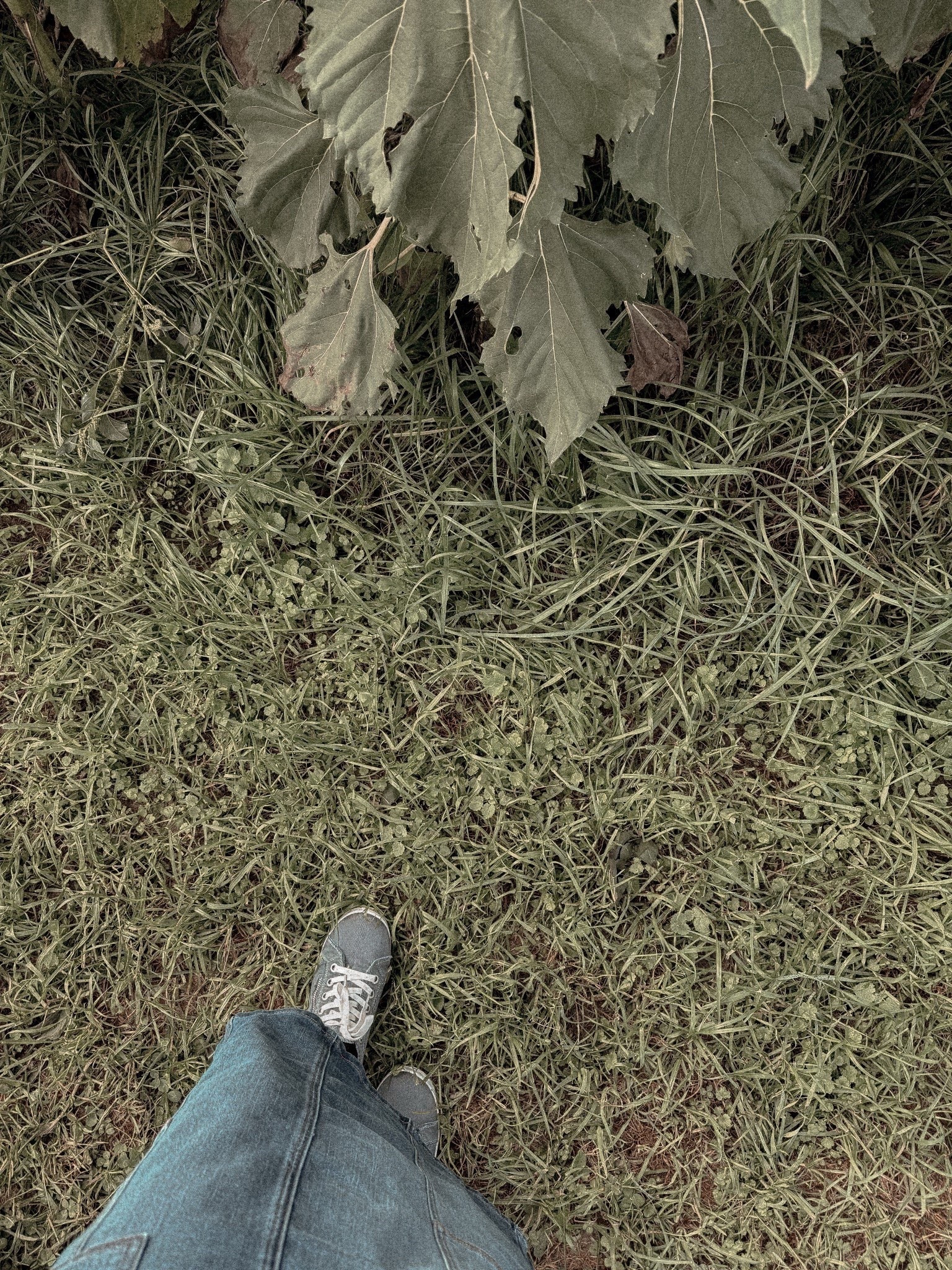 Y’all are loving these cute fall ootd options! 🫶🏻

#LTKmomlife #LTKBeauty #LTKootd