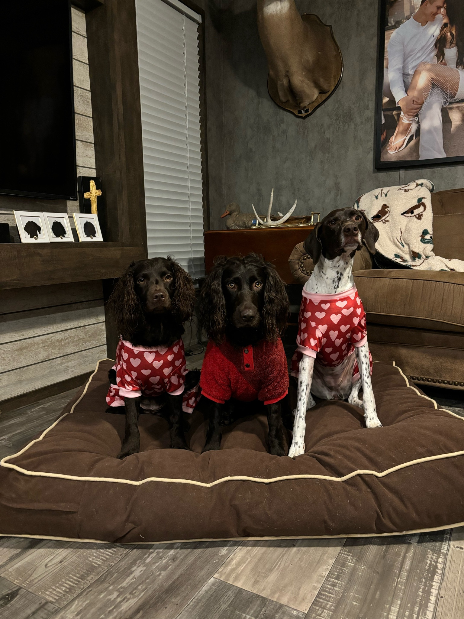 DOG VALENTINES OUTFITS ♥️

#LTKGiftGuide #LTKFindsUnder50 #LTKSeasonal