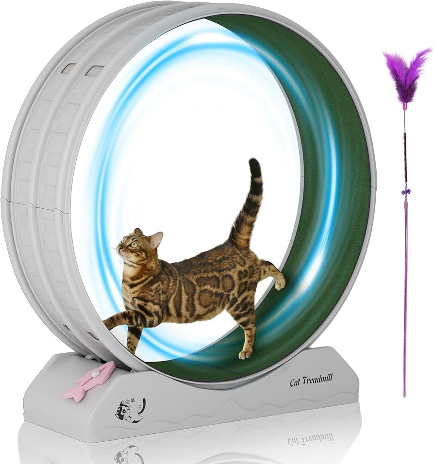 Cat Exercise Wheel, 39.4 Inch Cat Treadmill for Indoor Cats, Cats Running Wheel with Updated Enha... | Amazon (US)