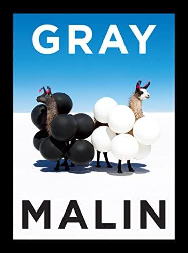 Gray Malin: The Essential Collection: Malin, Gray: 9781419750267: Amazon.com: Books | Amazon (US)