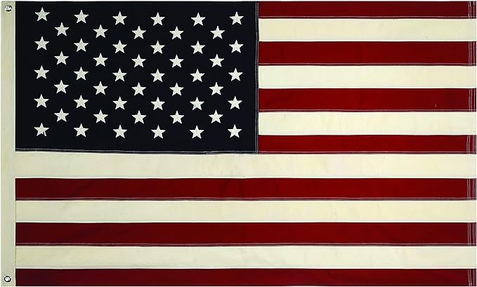 Creative Co-Op 60" x 36" Fabric USA Flag wit Grommets | Amazon (US)