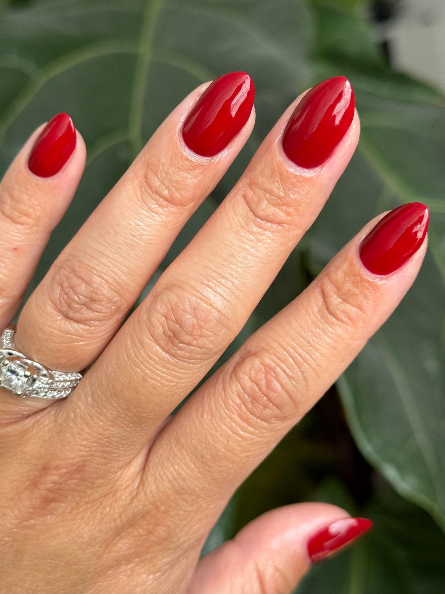 This polish combo will carry you from fall festivities through the holidays!

#LTKBeauty