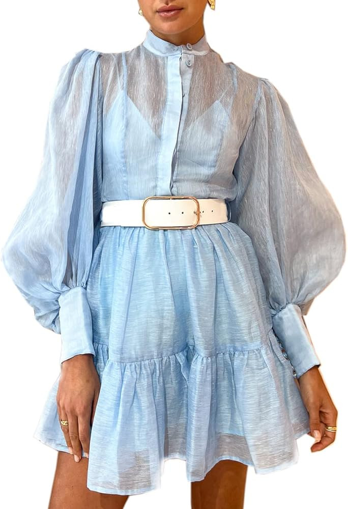 Roiii Women A-Line Lace Loose Baroque Button Down Long Sleeve Casual Dresses V Neck Embroidery Pa... | Amazon (US)