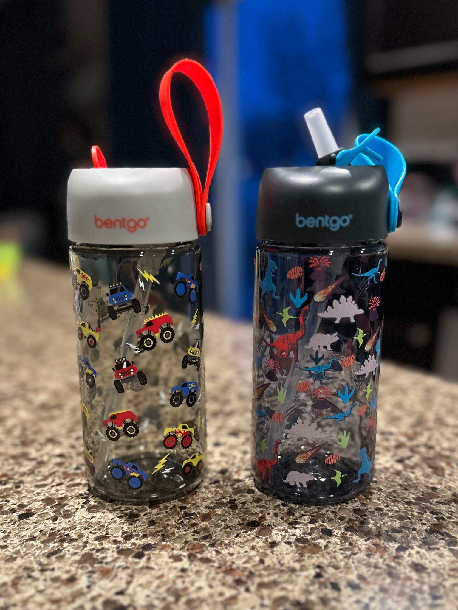 These water bottles are perfect for toddlers and kids who love to leave their water bottles everywhere. Doesn’t leak or spill when tipped over! Plus it has a little handle for them to carry or clip on to a hook! 

#LTKTravel #LTKActive #LTKKids