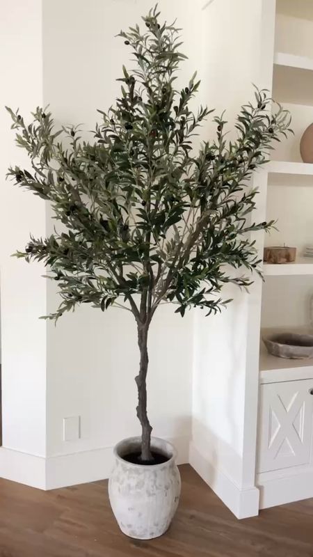 I’m in love with this faux olive tree! Looks so real and a great price as well ✨