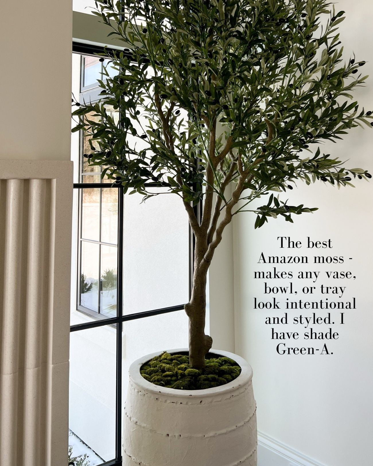 Amazon home decor
Amazon faux olive tree I have all over my house with amazon moss 




#LTKHome #LTKSeasonal