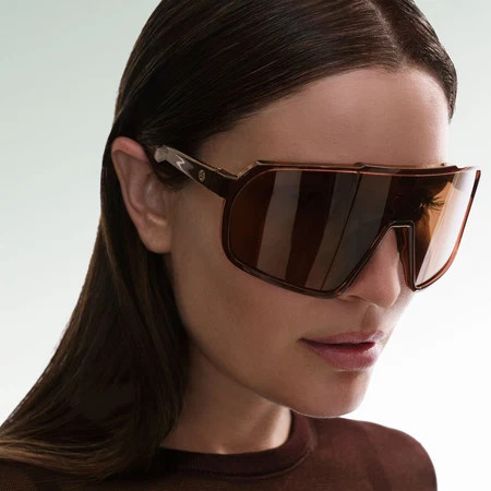 THE BROWN SHIELD SUNGLASSES | Lenox and Sixteenth