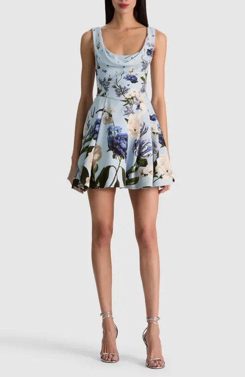 ALICE + OLIVIA Estrella Draped Flare Dress in Fly Away at Nordstrom, Size 4 | Nordstrom