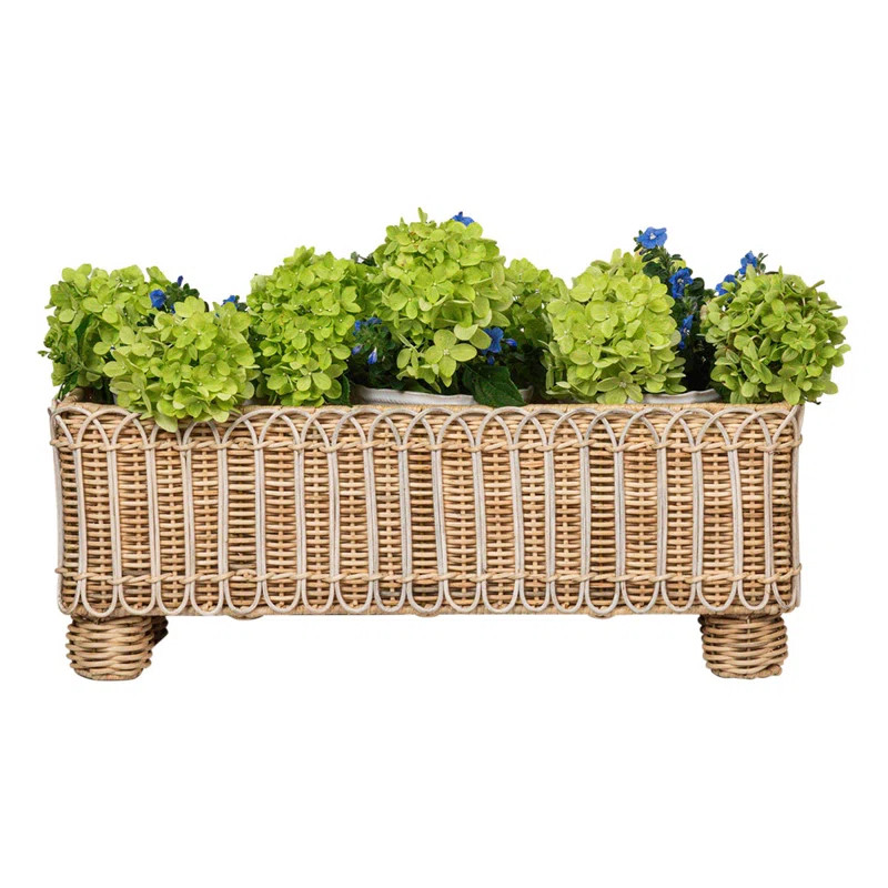 Provence Rattan Rectangular Planter - Whitewash | Wayfair North America