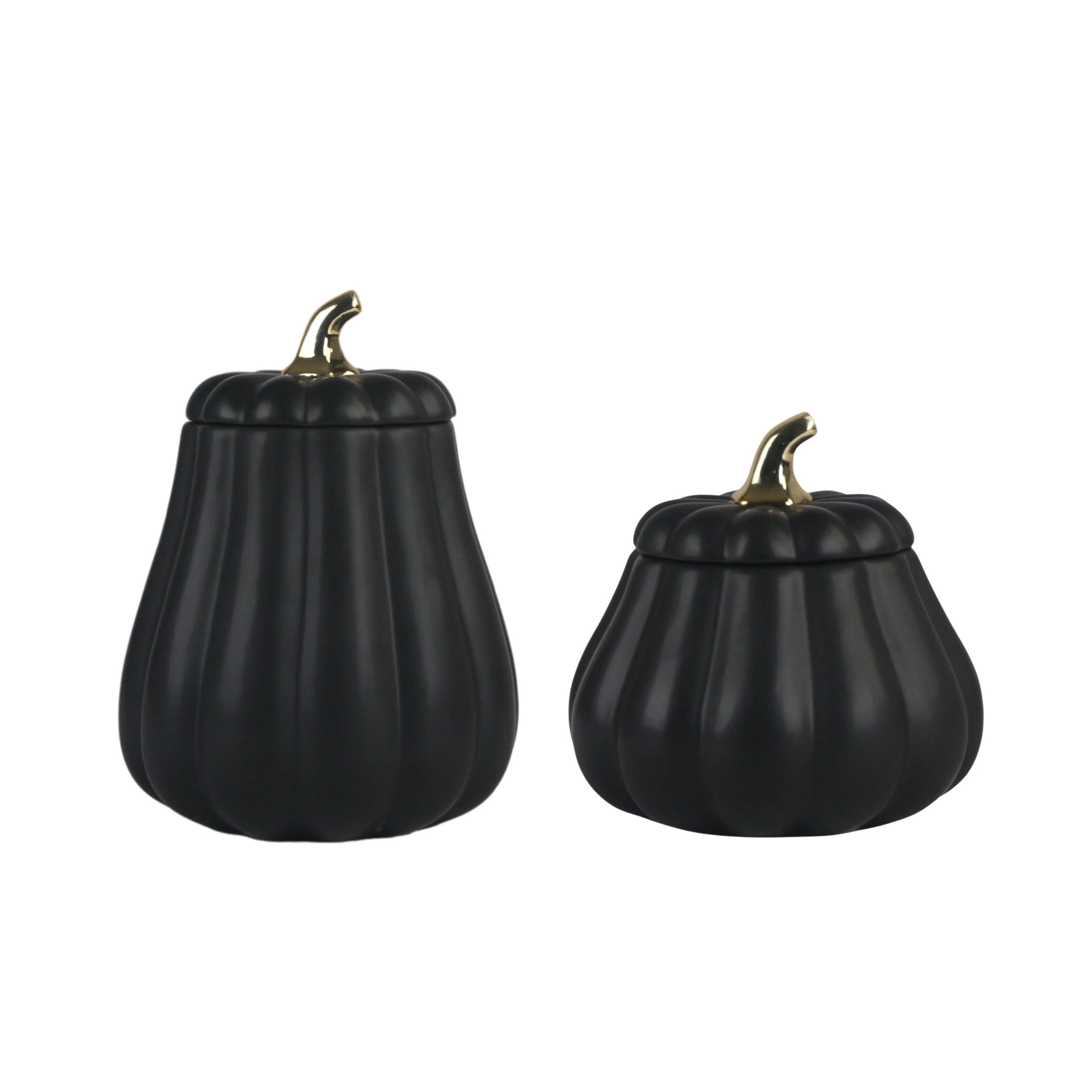 10 Strawberry Street Pumpkin Patch Graduated Gourd Canister Set, Black (Set of 2) | Wayfair North America