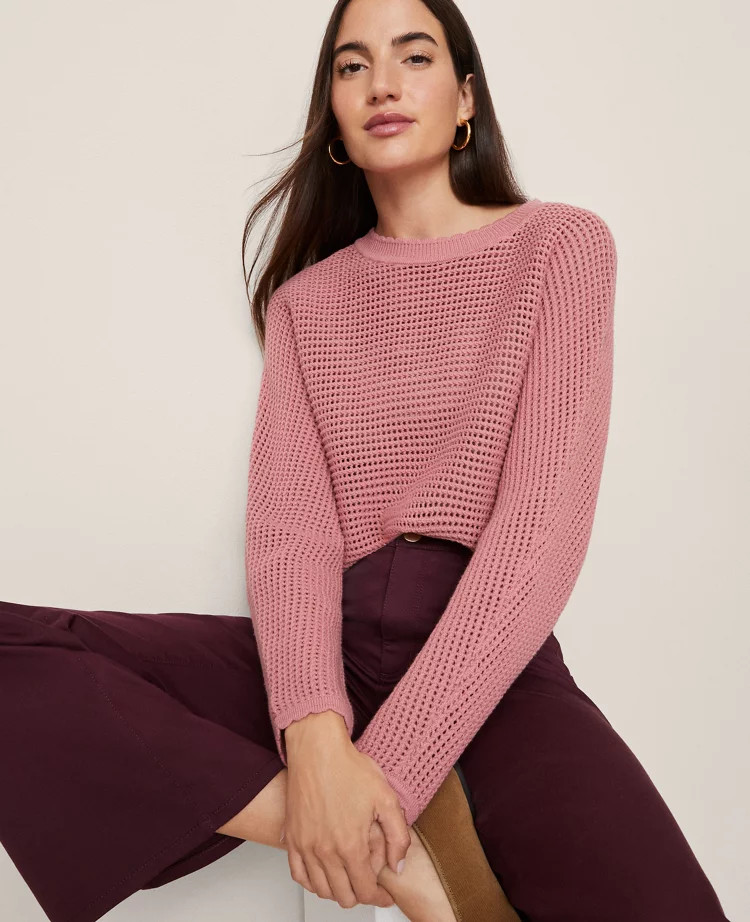 Weekend Collection Open Stitch Scalloped Sweater | Ann Taylor