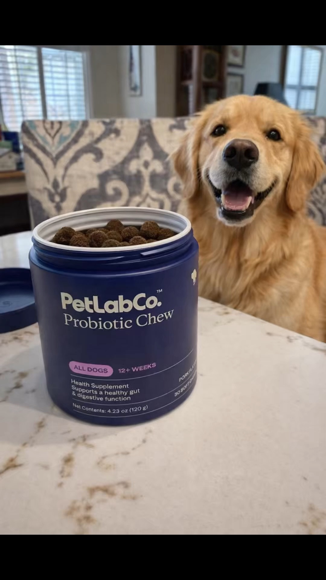 If your dog has tummy issues, this is a game changer 🐶✨ Healthy gut = happy life
#doghealth #petparents #petwellness #probioticsfordogs 

#LTKdayinmylife #LTKmomlife #LTKActive