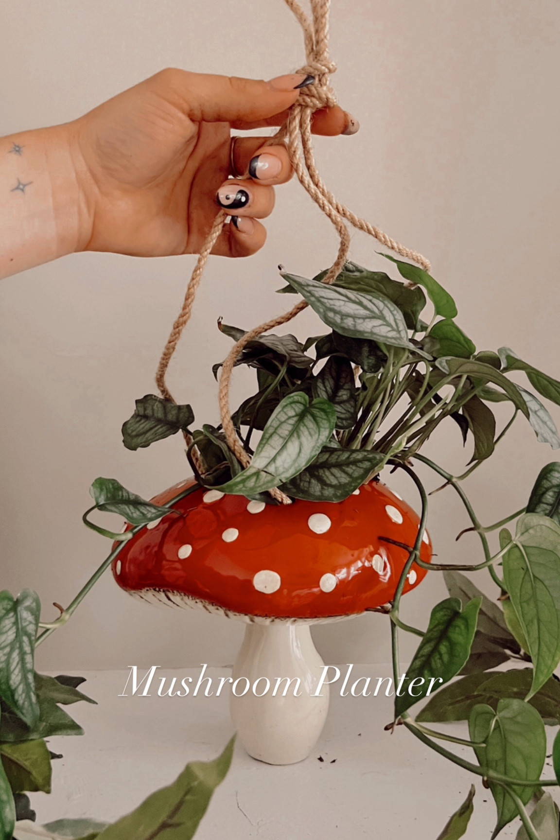 Linking my mushroom planters and some other fun ones I found here!  And a mushroom bird house cause it’s too cute 

#LTKFind #LTKunder100 #LTKhome