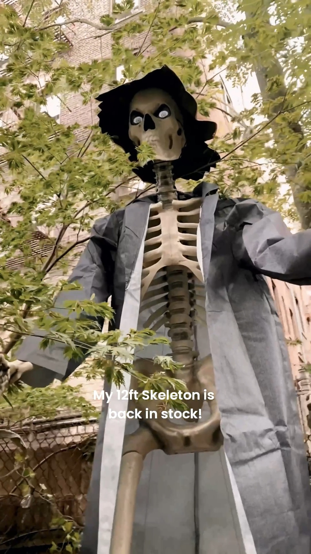 Run don’t walk! Home Depot has restocked the viral 12ft skeleton and more! 

#LTKHome #LTKSeasonal