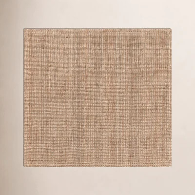 Asta Hand Loomed Jute/Sisal Area Rug | Wayfair North America