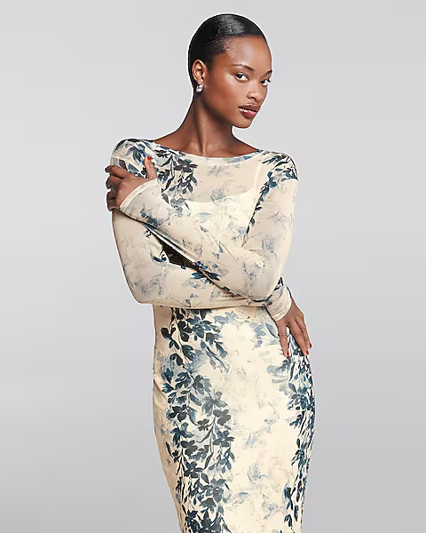 Printed Mesh Crew Neck Long Sleeve Maxi Dress | Express