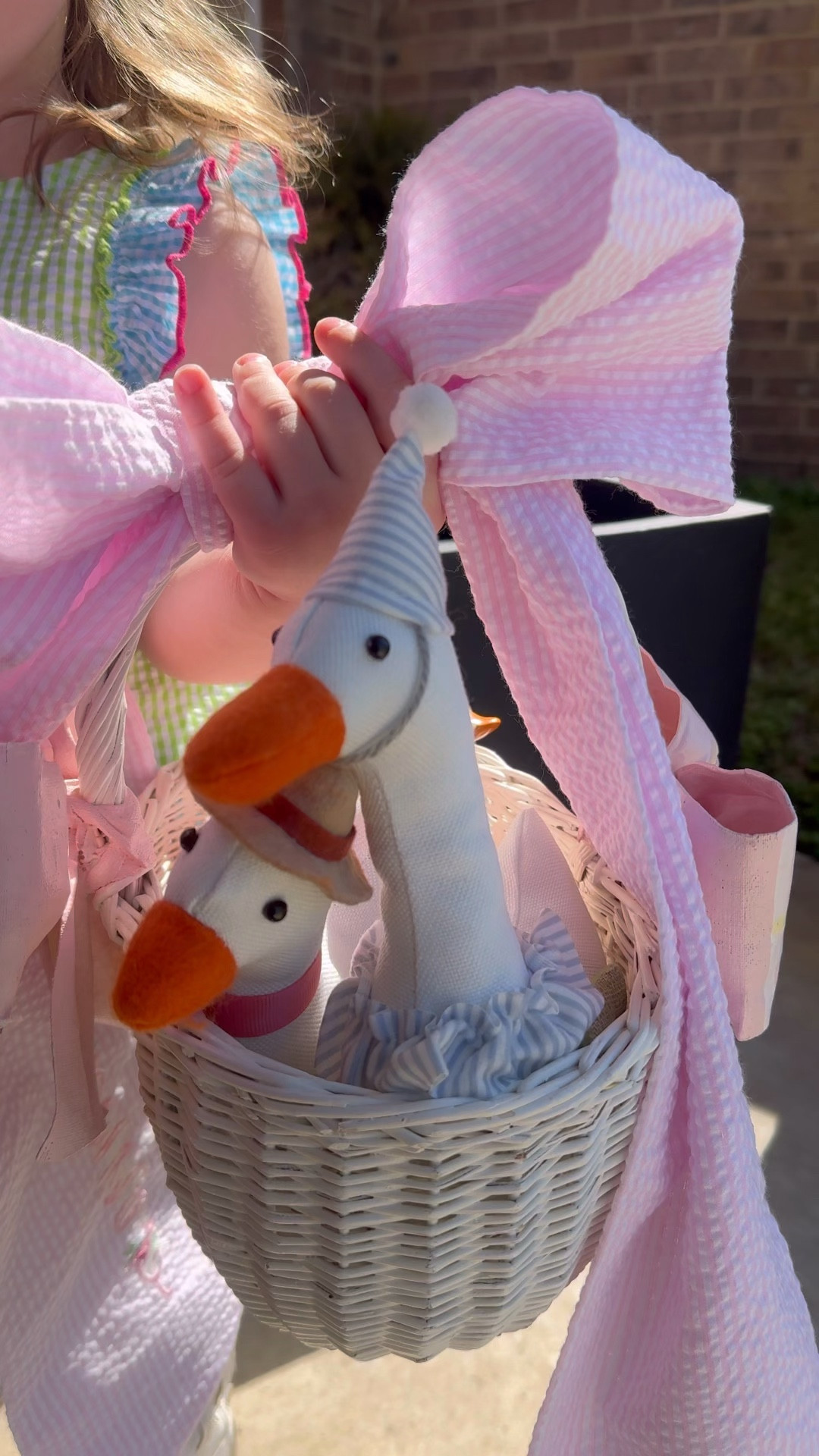 Just a girl in love with her basket! Found the cutest silly goose at @Target shop her outfit from @Dillards Inc. 

#LTKgrwm #LTKBaby
