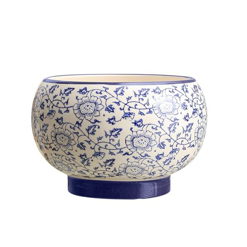 Chinese Blue and White Porcelain Planter, Ceramic Plant Pot, Ceramic Modern Glaze Succulent Planter Pot with Drainage Hole, 8 Inch Round Flower Plant Pot for Indoor Outdoor Herb Snake Plants | Amazon (US)