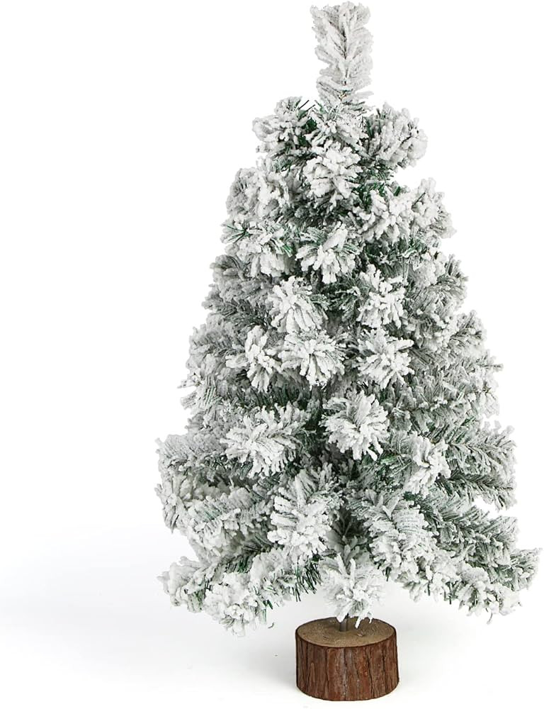 Visit the Store, CCINEE    CCINEE   Visit the Store | Amazon (US)