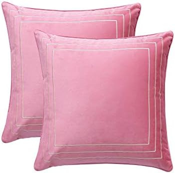 ALSCUEE Pack of 2 Decorative Velvet Throw Pillow Covers,20x20 Inch Square Soft Cushion Covers Lux... | Amazon (US)