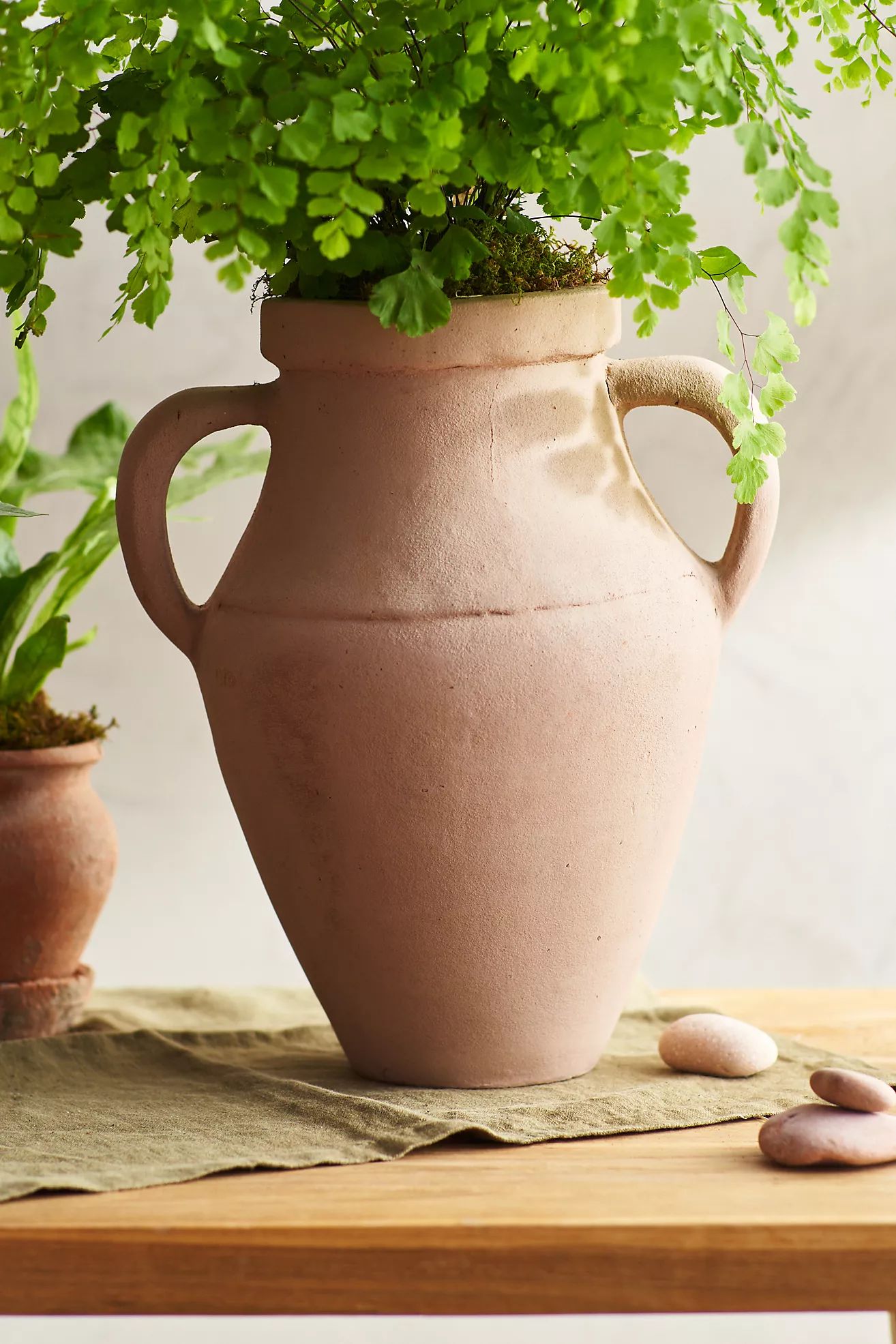 Terracotta Water Jar Planter | Anthropologie (US)