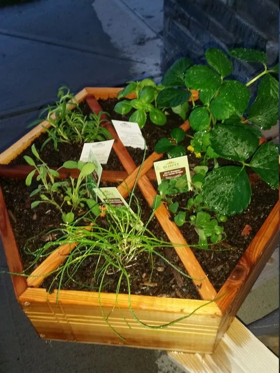 Handmade Cedar Herb Planter / Gift for Gardener / Made in | Etsy | Etsy (US)